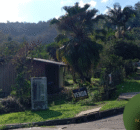 capa site schilling (2)